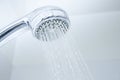 Shower Head Royalty Free Stock Photo