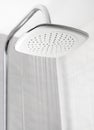 Showerhead while running water Royalty Free Stock Photo