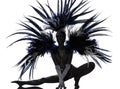 Showgirl woman revue dancer dancing Royalty Free Stock Photo