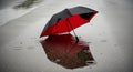 Black and red umbrella in a puddle on a wet asphalt road with reflections 1024 Royalty Free Stock Photo