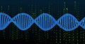 Showing blue DNA helix stretching across interface, amid digital rain effect and green binary code Royalty Free Stock Photo