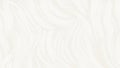 Clean and bright white abstract background with flowing organic wavy lines and a subtle textured surface creating a soft and airy Royalty Free Stock Photo