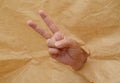 Man s hand with thumbs up. Royalty Free Stock Photo