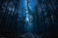 Showing a night shot of the stars above a forest, high quality, high resolution Royalty Free Stock Photo