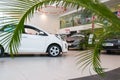 Showroom and car KIA of dealership KIA-Zentr Kirov in Kirov city