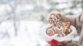 Shows a gingerbread angel Royalty Free Stock Photo