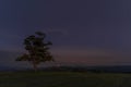 Shows a lone tree on a hill and a moon that, on a full moon, travels behind the entire tree in the background to a full view in