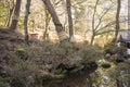 Shoyoen garden edo style in Rinnoji Temple at Nikko, Japan