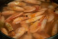 ShrBoiled shrimps. Cooked Shrimp. a lot of boiled peeled shrimp. Concept of healthy diet. Healthy food, protein diet Royalty Free Stock Photo