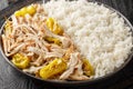 Shredded baked chicken fillet with peperoncini peppers served with rice close-up in a plate. horizontal