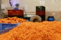 Shredded carrot in a food processing plant Royalty Free Stock Photo