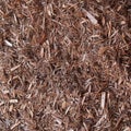 Shredded cedar bark mulch with tinge of red Royalty Free Stock Photo