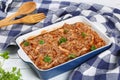 Shredded chicken meat tossed in sauce Royalty Free Stock Photo