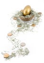 Shredded Money Trail to Nest