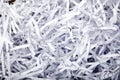 Shredded Papaer Background Royalty Free Stock Photo