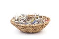 Shredded paper in basket Royalty Free Stock Photo