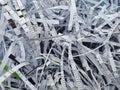 Shredded paper documents background Royalty Free Stock Photo