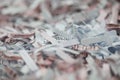 Shredded paper Royalty Free Stock Photo
