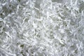 Shredded paper texture background, top view of many white paper strips Royalty Free Stock Photo