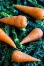Shredded savoy cabbage with baby chantenay carrots. Close up