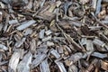 Shredded wood and wood chips after crushed recycling shows natural footpath in a forest or garden with compost or mulch from shavi Royalty Free Stock Photo