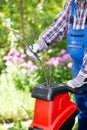 Shredding branches with an electric garden shredder Royalty Free Stock Photo