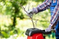 Shredding branches with an electric garden shredder Royalty Free Stock Photo