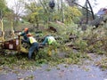 Shredding Tree Limbs