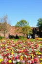 Shrewsbury Castle and flowerbeds.