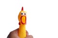 Shrilling Chicken squeaky toy in hand on white background.