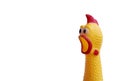 Shrilling Chicken squeaky toy on white background.