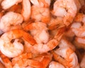 Shrimp Royalty Free Stock Photo