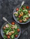 Shrimp, arugula,avocado, cherry tomatoes salad served on two plates on a dark background, top view Royalty Free Stock Photo