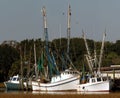 Shrimp Boat Fleet Royalty Free Stock Photo