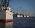 Shrimp Boat Fleet after work