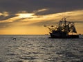 Shrimp boat leaving to Shrimp Royalty Free Stock Photo