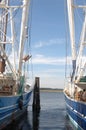 Shrimp Boats Royalty Free Stock Photo