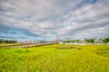 Shrimp boats in Shem creek near Charleston, SC. Royalty Free Stock Photo