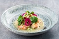 Shrimp ceviche seviche latin america style Royalty Free Stock Photo