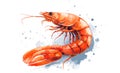 Shrimp cocktail drawing on a white background. seafood for a party or dinner at a restaurant serving food from the sea Royalty Free Stock Photo