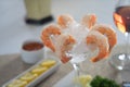 Shrimp Cocktail in Ice Royalty Free Stock Photo