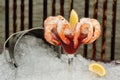 Shrimp Cocktail on Ice with ocean in background Royalty Free Stock Photo