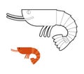 Shrimp coloring book. Small Marine cancroid. Ocean plankton. Royalty Free Stock Photo