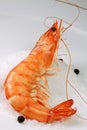 Shrimp cooked close up Royalty Free Stock Photo