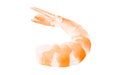 Shrimp cooked, headless, prawn peeled isolated on white background with clipping path, element of packaging design Royalty Free Stock Photo