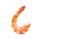 Shrimp cooked isolated on a white background Royalty Free Stock Photo