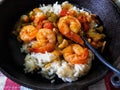 Shrimp Creole traditional southern American cuisine