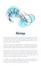Shrimp Crustacean Hand Drawn Vector Illustration