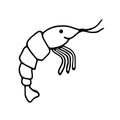 Shrimp, doodle hand drawing outline icon for meal menu, kids coloring book, editable black contour on white background Royalty Free Stock Photo