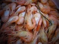 Shrimp exotic food delicates delicacy Royalty Free Stock Photo